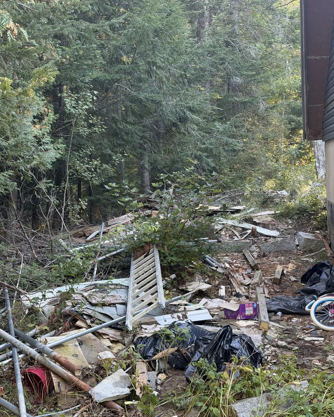 Wood and other debris beside a wooded property