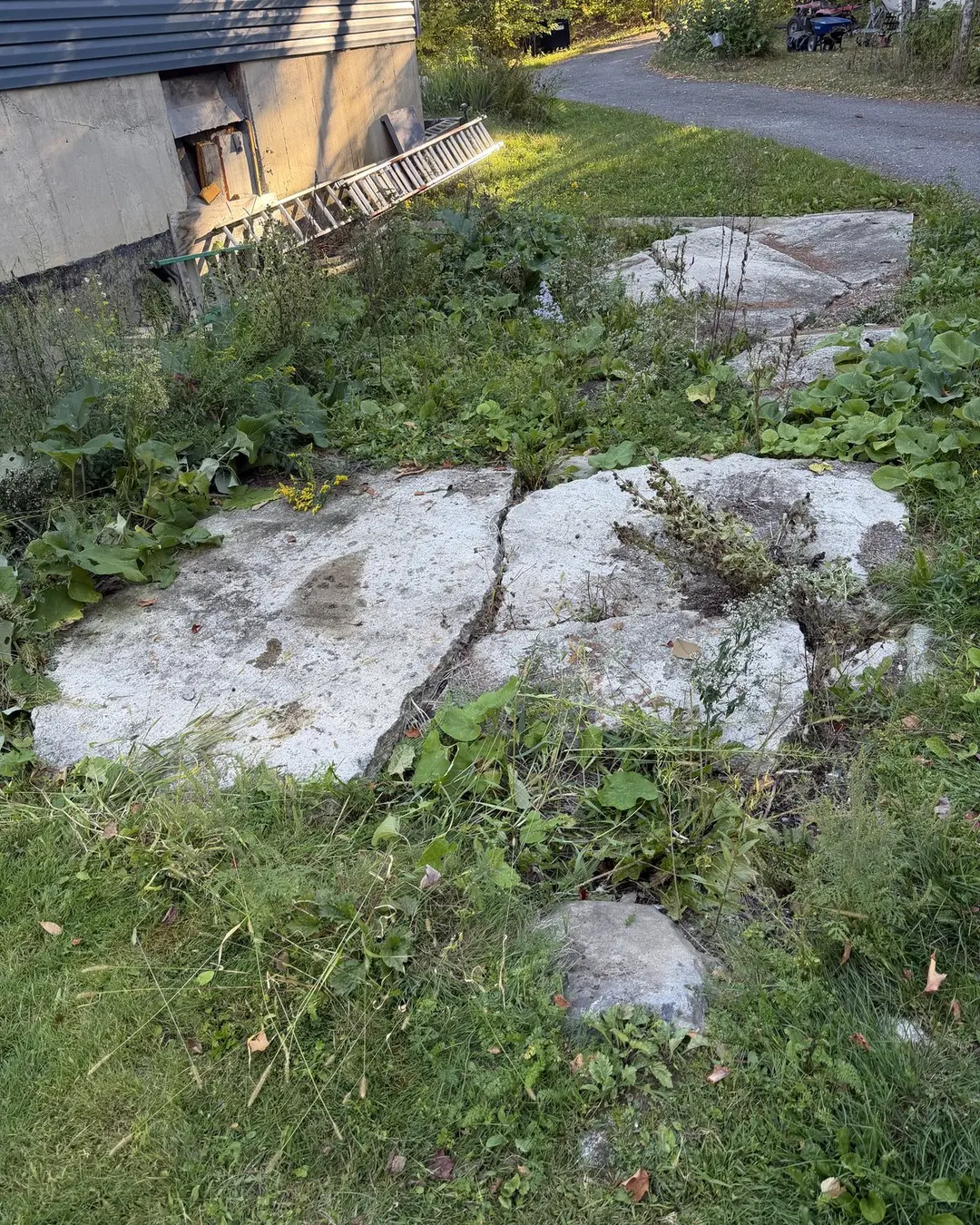 Outdoor concrete remnants and vegetation beside a property